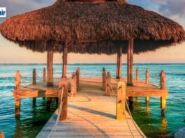 CheapOair: Smart Ways to Plan and Save on Your Next Flight